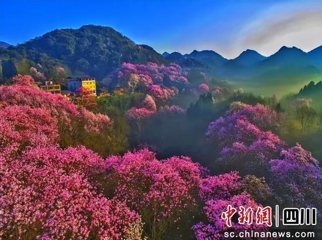 李白故里焕新运动活力(图3)