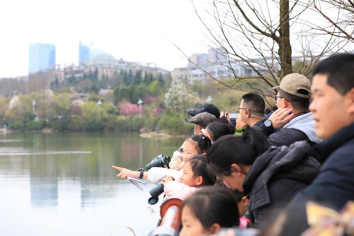 观山湖区：“四城”建设启新程文旅融合绘锦章(图9)