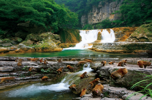 山西阳城全域旅游跑出加速度(图3)