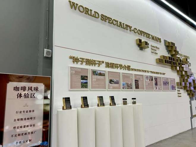 活力中国调研行 进博会有个“6天+365天”平台帮助外国品牌迈出适应中国市场“第一步”(图2)