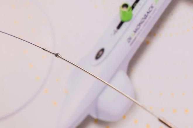 开放之约续华章第八届进博会即将启幕｜进距离(图2)