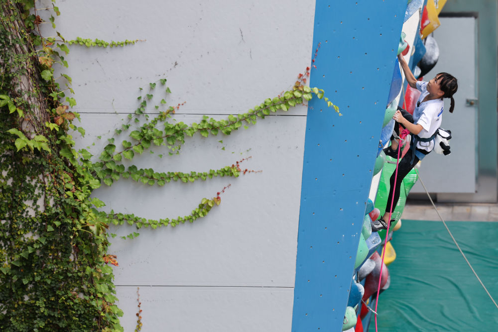 体育地理丨跃动大湾区(图13)