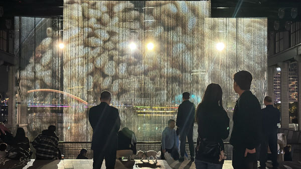 第十二届西岸艺术与设计博览会于2025年11月13日开幕(图10)