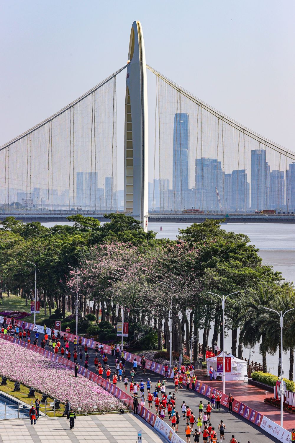 以“体育”的方式打开粤港澳不止在全运(图7)