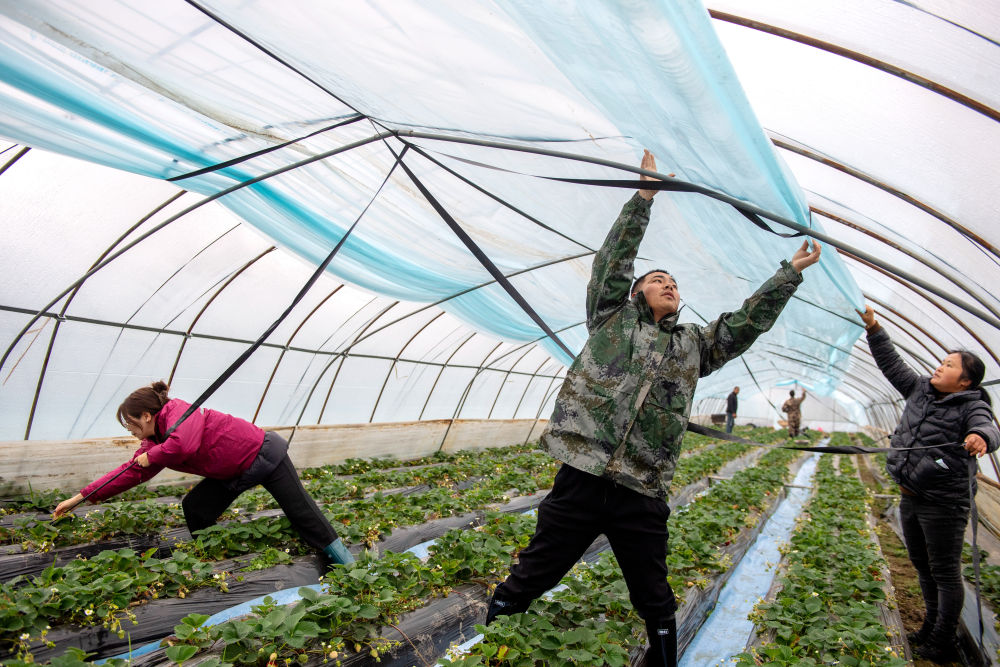 镜观·回响｜弘扬奉献、友爱、互助、进步的志愿精神(图13)