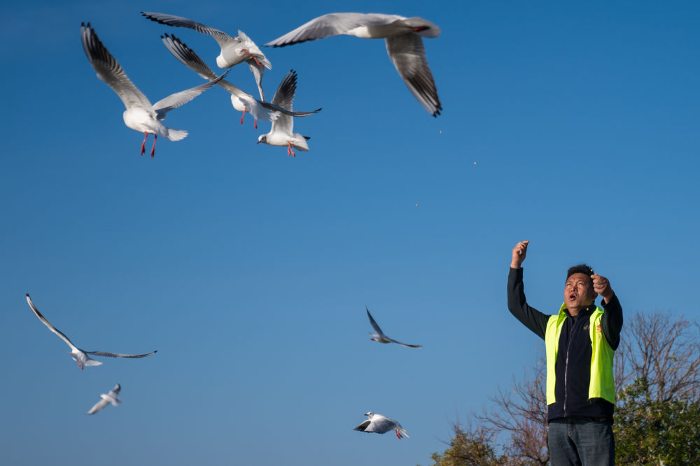 镜观·回响｜弘扬奉献、友爱、互助、进步的志愿精神(图4)