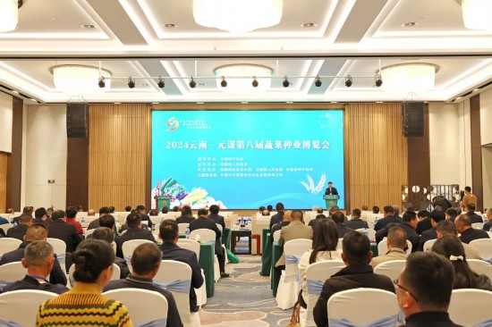 从“难繁”到“南繁”丨薪火传良种南繁启新程(图2)