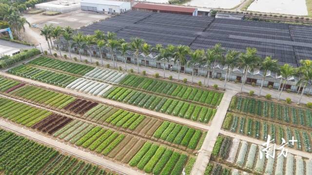 汇全球良种播种业希望——写在第二十四届广东种业博览会召开之际(图7)