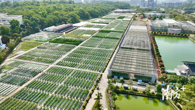 汇全球良种播种业希望——写在第二十四届广东种业博览会召开之际(图4)