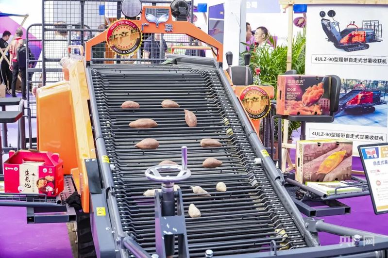 第二十四届广东种业博览会开幕良种良机助力广东农业高质量发展(图4)