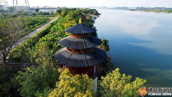 南海宝藏小岛如何跑出一场“高质量发展马拉松”？(图3)