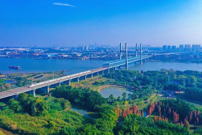 南海宝藏小岛如何跑出一场“高质量发展马拉松”？(图2)