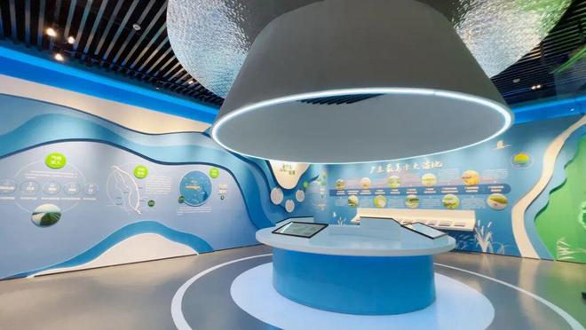 南海宝藏小岛如何跑出一场“高质量发展马拉松”？(图5)