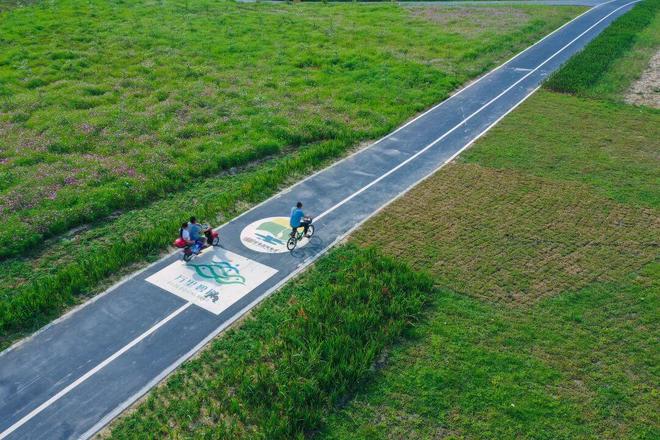 南海宝藏小岛如何跑出一场“高质量发展马拉松”？(图6)