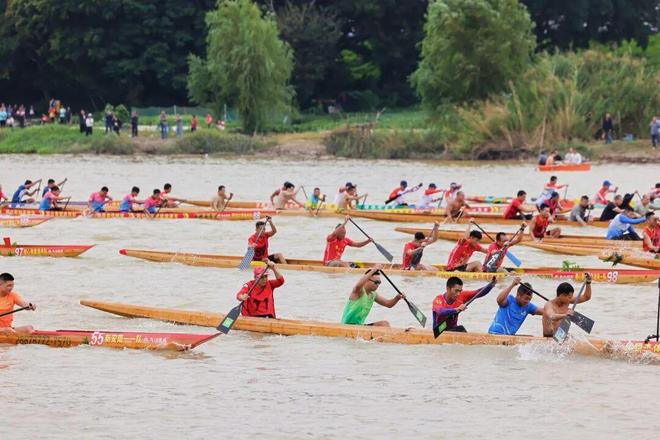 南海宝藏小岛如何跑出一场“高质量发展马拉松”？(图8)