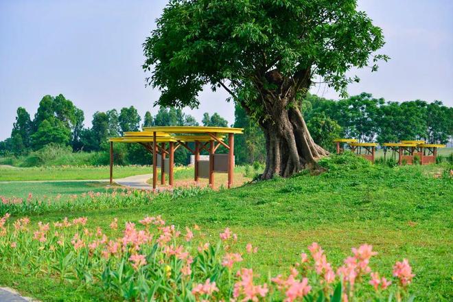 南海宝藏小岛如何跑出一场“高质量发展马拉松”？(图10)