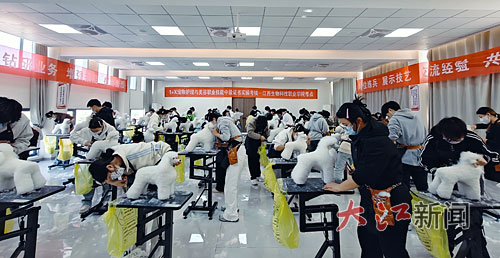 “它经济”崛起江西宠物经济如何“出圈”？(图2)