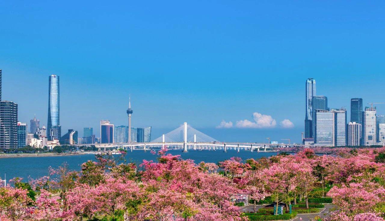 到横琴创业兴业就业为何令人格外期待？(图9)