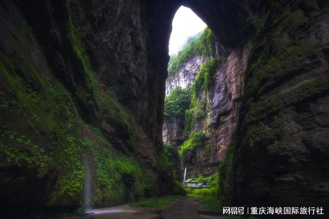 重庆当地团4日游报价多少钱？认准重庆海峡国际旅行社透明放心(图3)